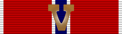 Bronze Star Ribbon