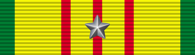 Vietnam Service Ribbon